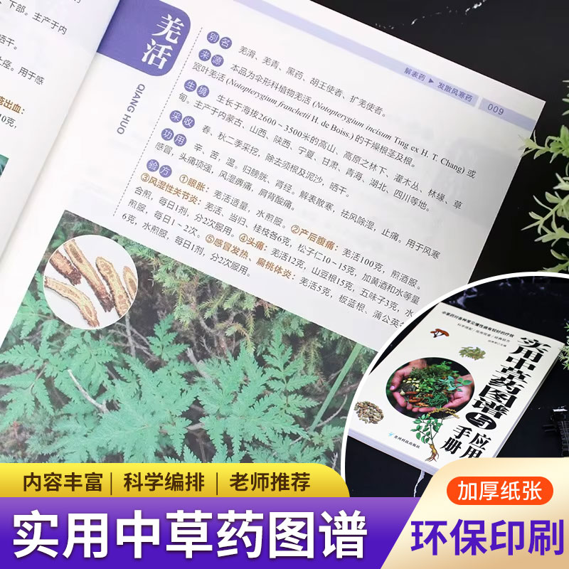 Wellness Herbal Medicine - Atlas e Manual Prático de Ervas: