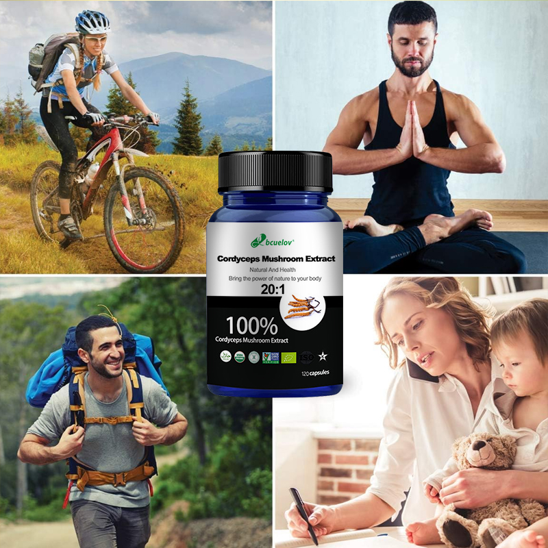 Cápsulas de Extrato de Cogumel - Herbal Wellness Water avaliação e preço